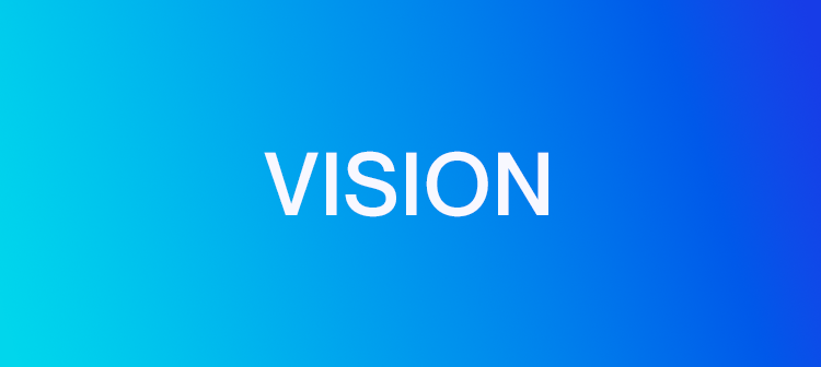VISION