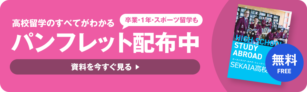 パンフレット配布中