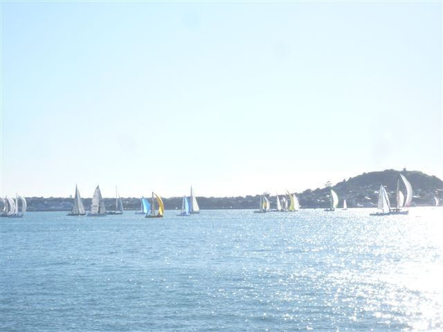 One Winter Day in AKL
