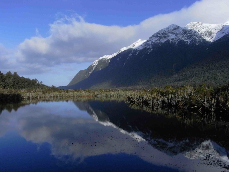 世界で一番クリーンな国？　ニュージーランド
