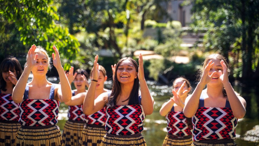 【ニュージーランド留学】学校タイプ別徹底比較！公立 vs 私立、寮 vs ホームステイ、あなたに合うのはどっち？