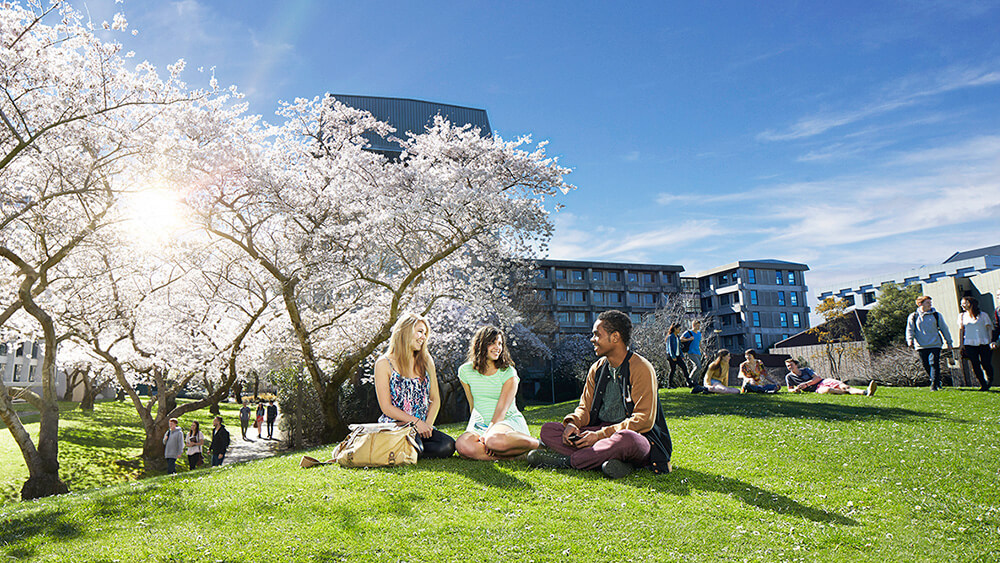 カンタベリー大学イメージ