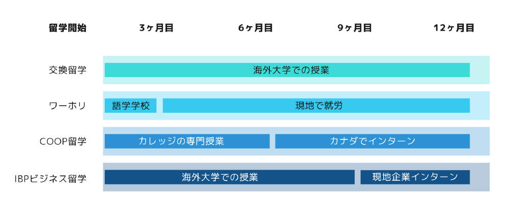 主な留学タイプの比較