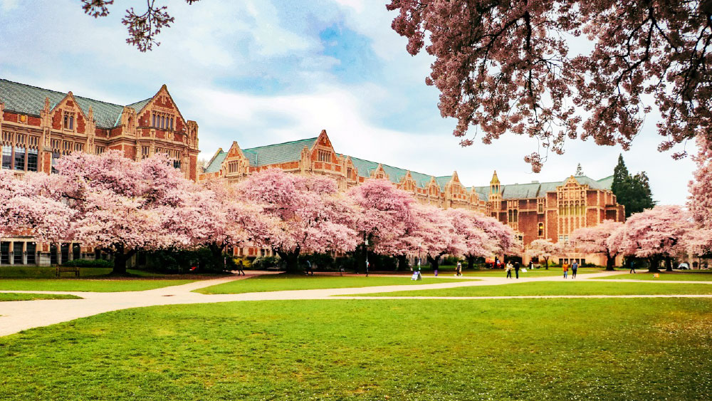 ワシントン大学